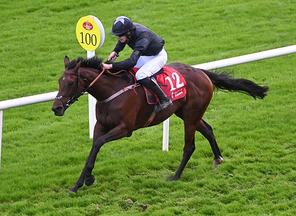 Maximillian Lady sails home clear