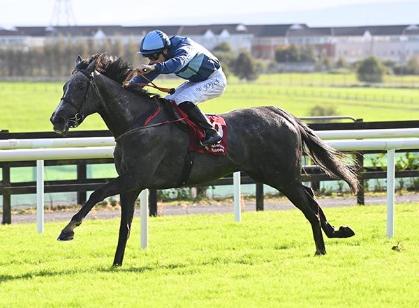 Electric Beauty makes the best way home