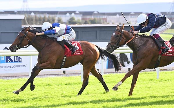 Zous And Me in full cry in the closing stages