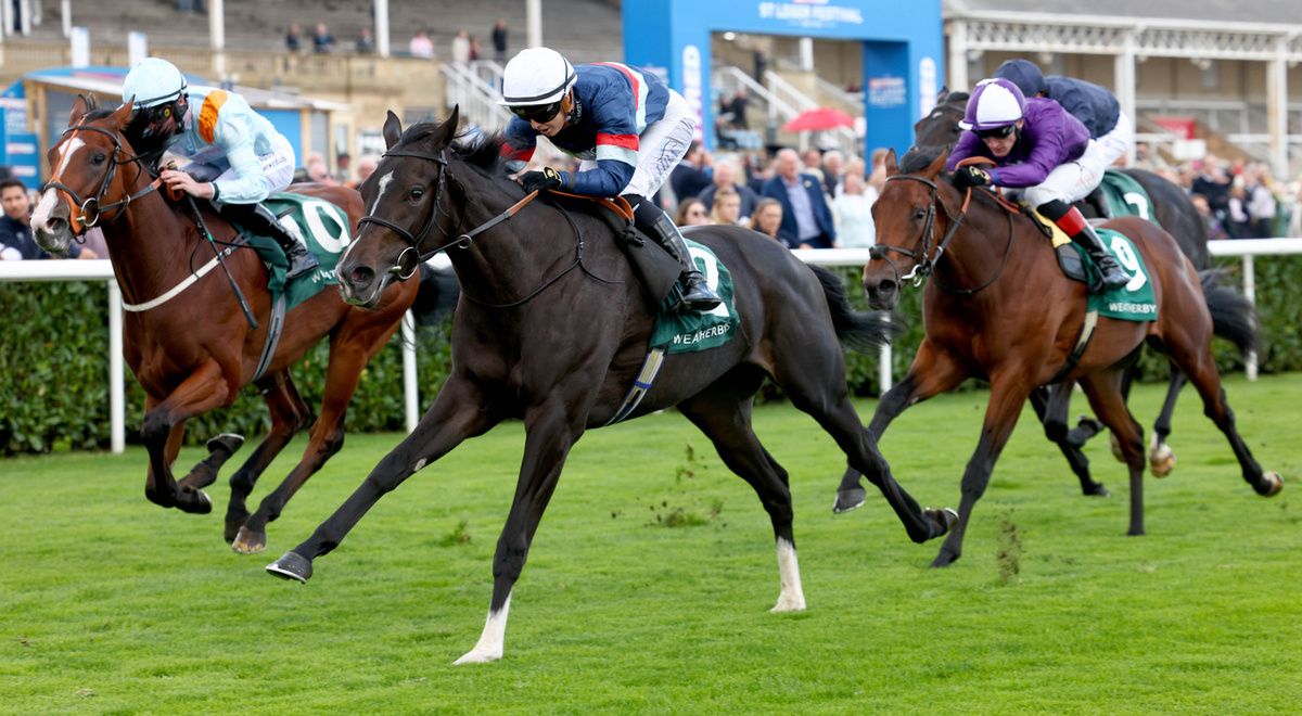 Calendar Girl has the Oh So Sharp Stakes in sight 