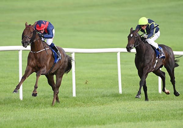 Its All Peachy opens up from Tswalu 