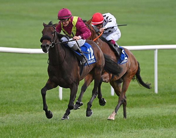 So Golden is too strong for Coul Dreamer