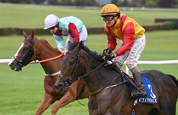 Iron Fist obliges for Shane Foley