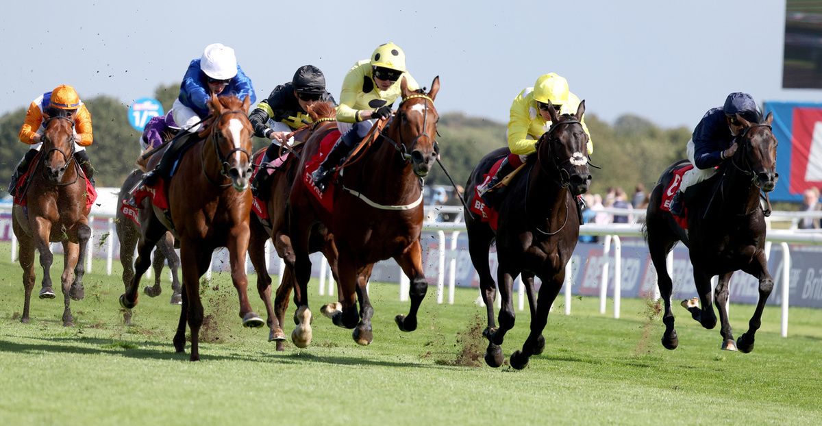 Avicenna and William Buick (blue with white cap) 