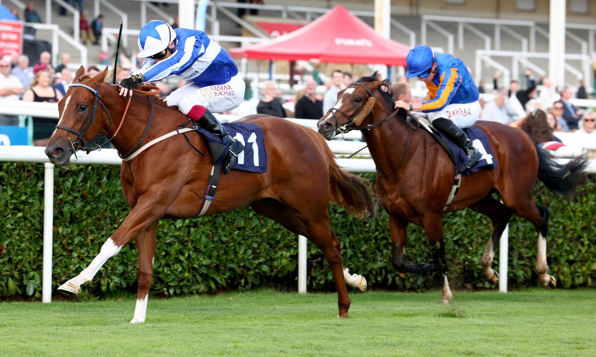 Revival Power (left)