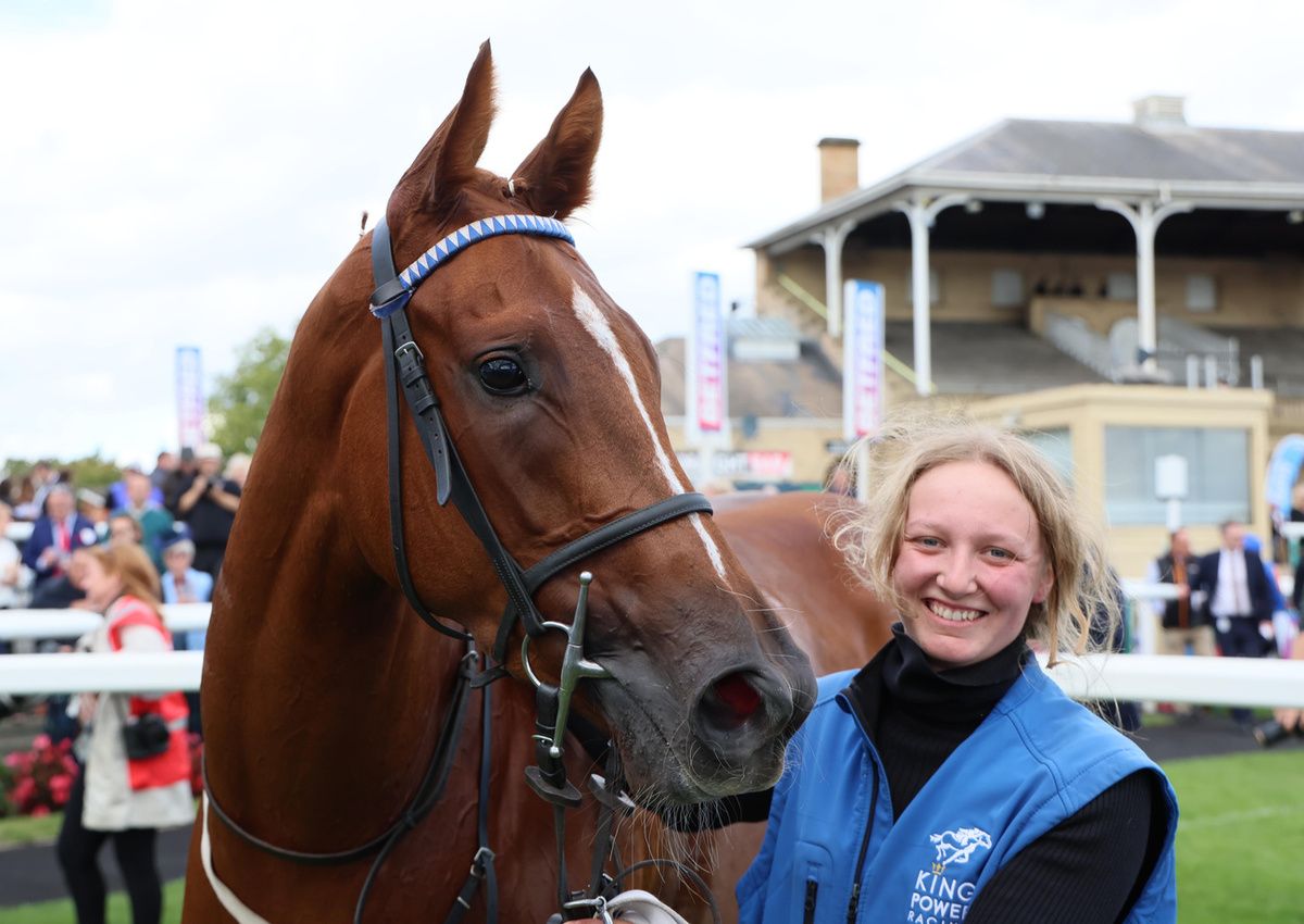 Revival Power has the Aidan O'Brien trained Brussels to beat 