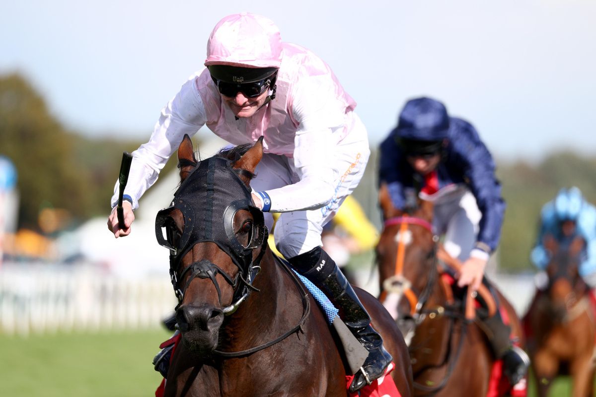 Sweet William and Rab Havlin 