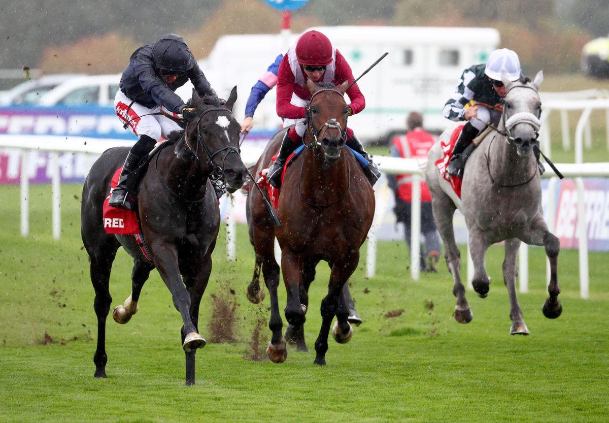 Oxagon (maroon and white) finishing second to Puerto Rico