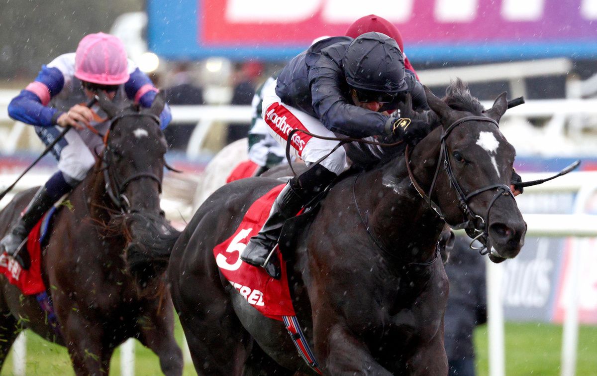 Puerto Rico and Sean Levey