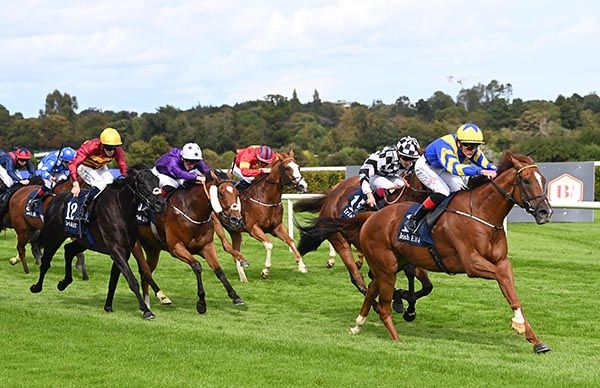 Rahmi and Rory Mulligan 