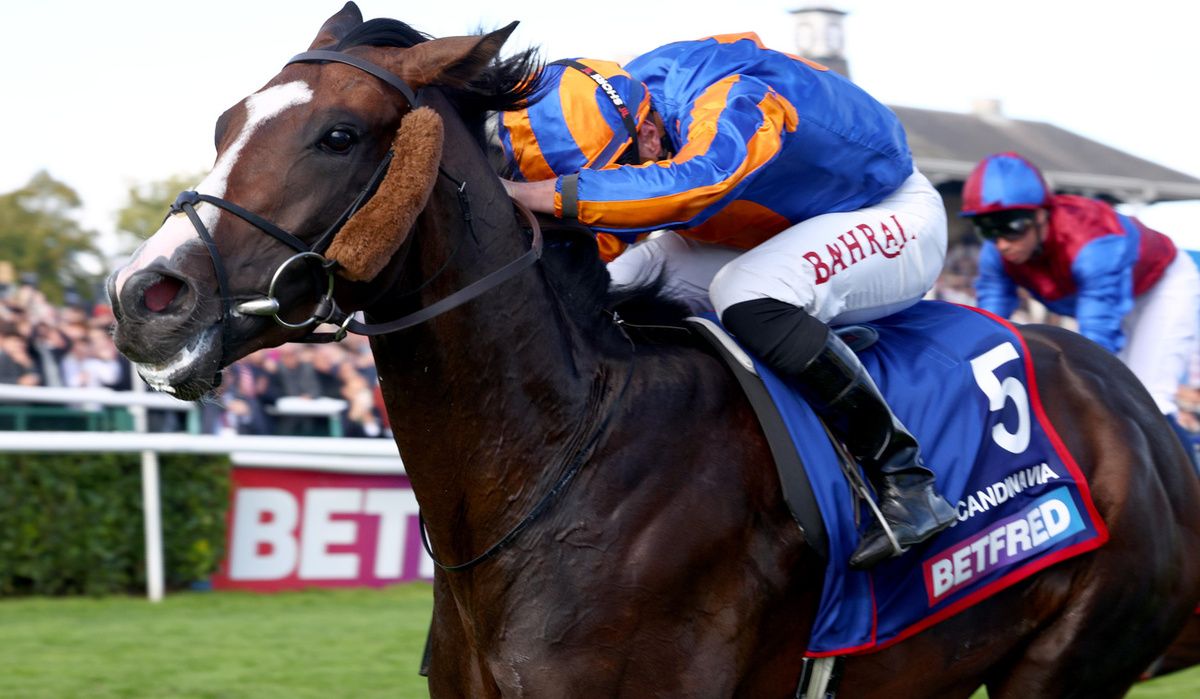 Scandinavia and Tom Marquand at Doncaster