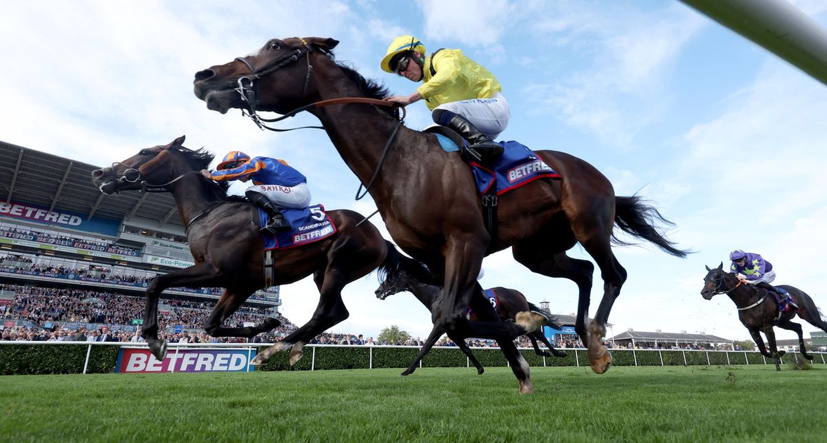 Scandinavia (far side) holds off the challenge of Rahiebb 