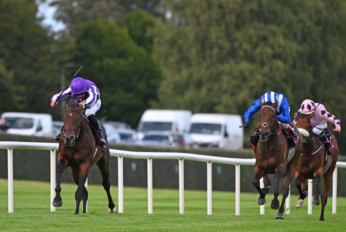 Delacroix set to do battle with Ombudsman for a third time 