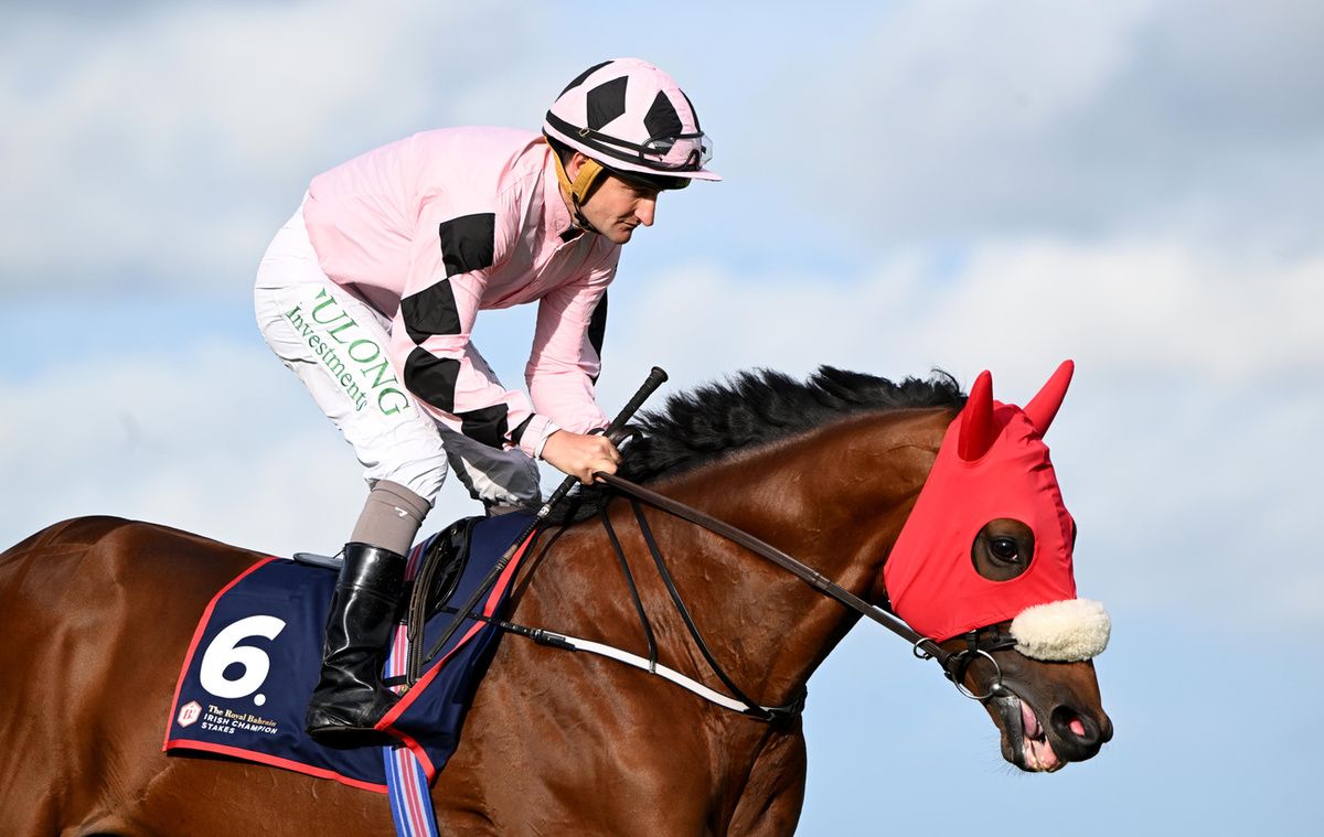 Hotazhell and Shane Foley 