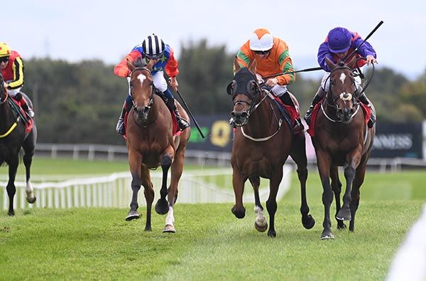 Barbizon and Shane Foley (right)