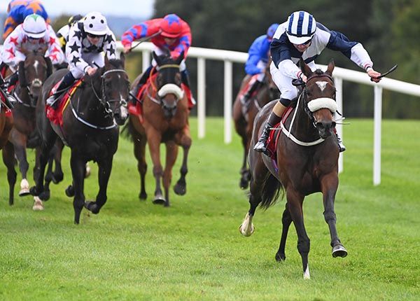 Warazam and Joe Harnett