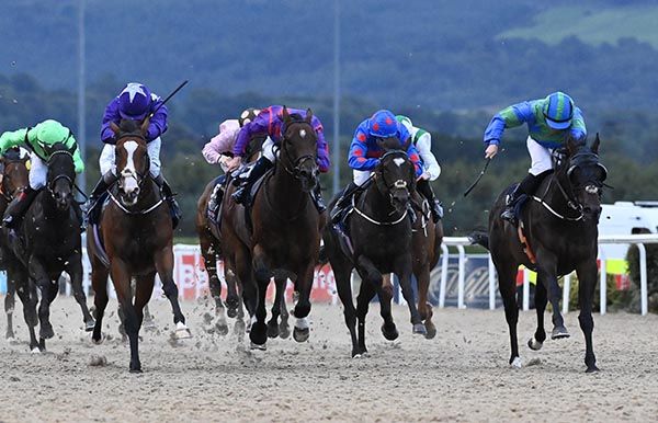 Sierra De Gredos and Gary Carroll 