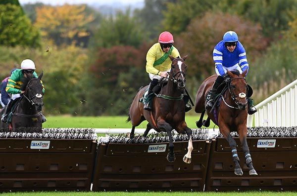 Friary Road (yellow) 