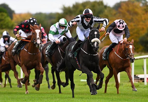 Ragmans Corner (noseband)