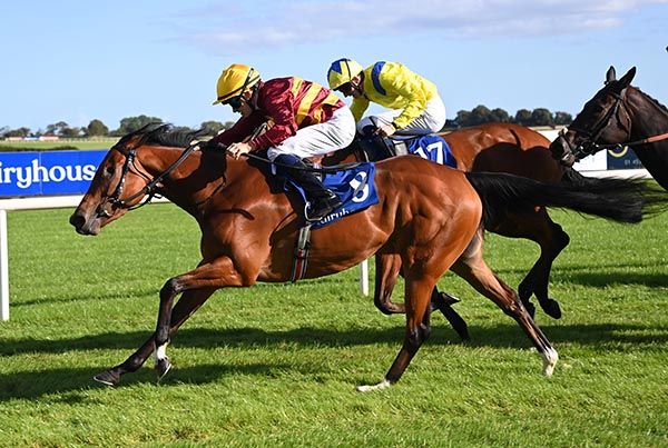 Love Is Blind and Wayne Hassett 