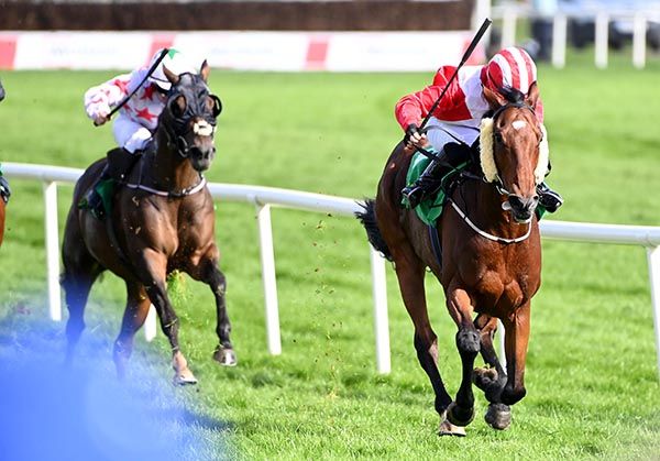 The Blue Panther keeps up the gallop