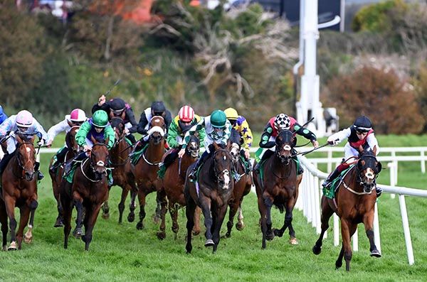 Dragon Of Malta, right, asserts from the field