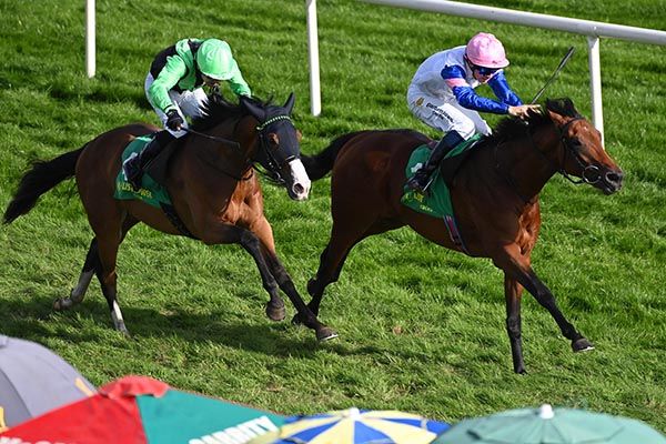 Limestone, pink cap, fends off Redemption Road