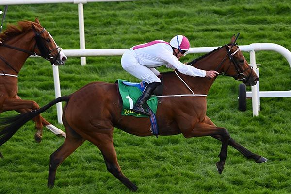 Cristal Clere and Seamie Heffernan hit the line