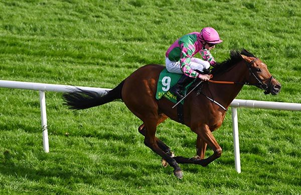 Sunriseontheboyne scoots in for Wesley Joyce 