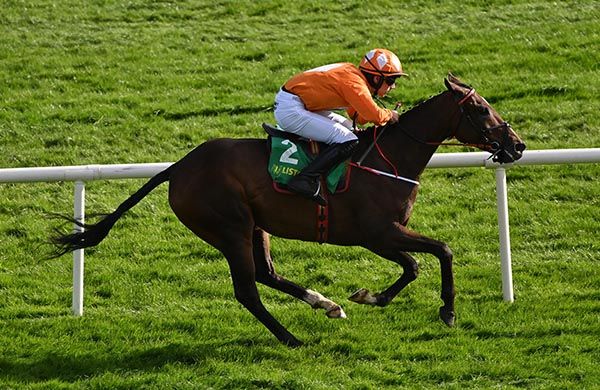 Fast Felix and Thomas O Connor 