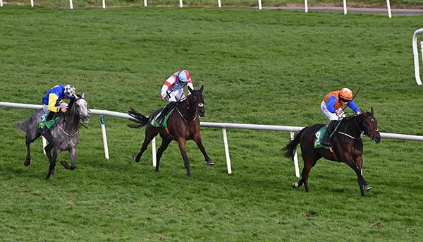John Gleeson win the Kevin McManus Flat Race 