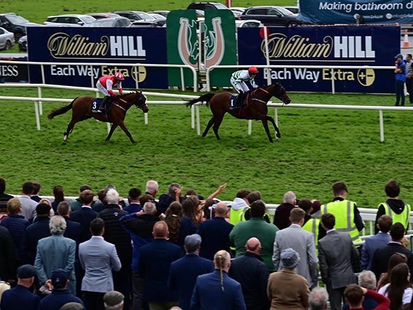 Casheldale Lad beats Lord Erskine

