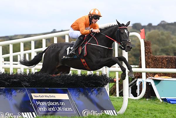 Tropical Image and Thomas O'Connor