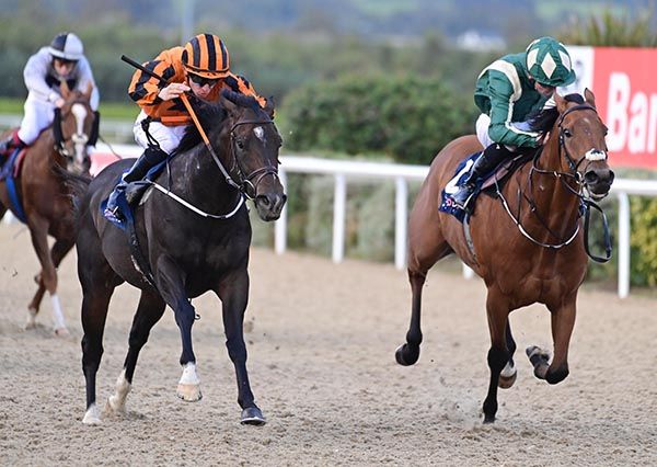 Famous Enough (left ) beats Venetian 