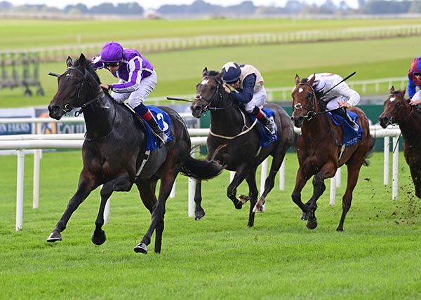 Hawk Mountain and Ronan Whelan 