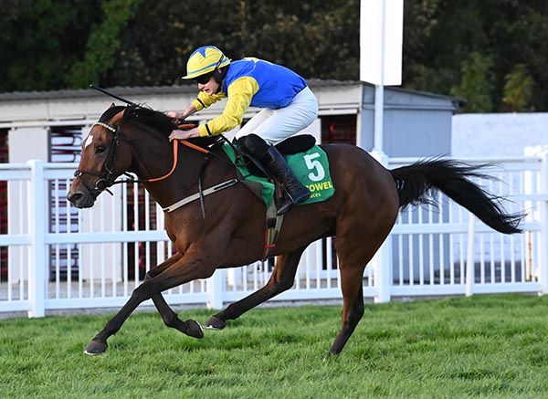 That Danny Feeling and Alan O'Sullivan 