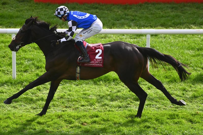 Curragh 14-9-25 Al Riffa and Dylan Browne McMonagle win the Comer Group International Irish St Leger (Group 1) for trainer Joseph O'Brien(Healy Racing)