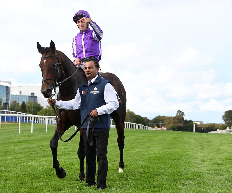 Delacroix faces Ombudsman in Champion Stakes at the weekend 