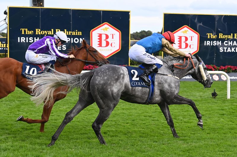 Fallen Angel winning at Leopardstown last year