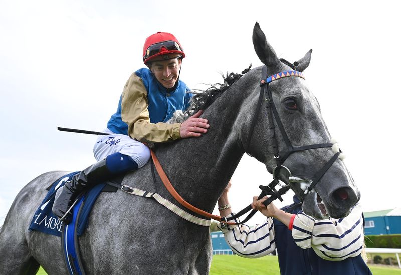Fallen Angel has been a real stalwart for connections 
