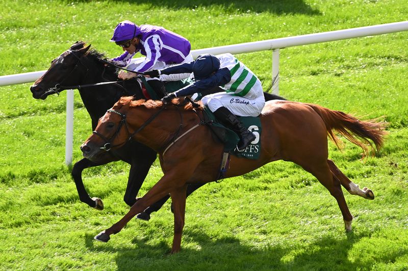 Zavateri (nearest) beat Gstaad at the Curragh