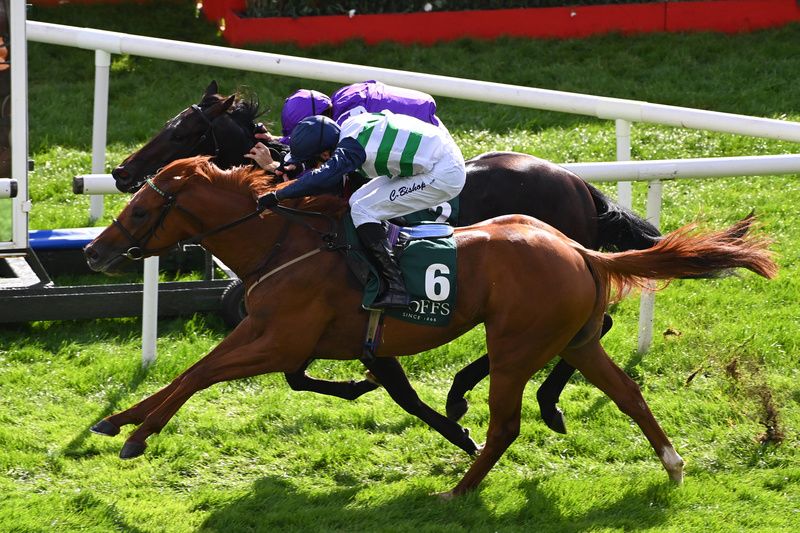 Zavateri has the Irish 2000 Guineas as main early season target 