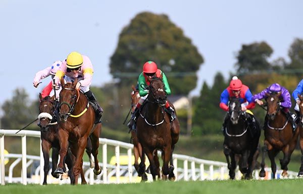 Stars Will Shine, yellow cap, asserts from her rivals