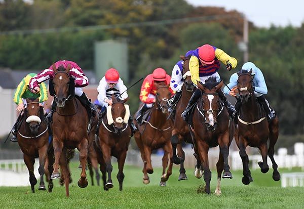 Glenroyal (maroon and white) beats Railwayview Lady (yellow sleeves) 