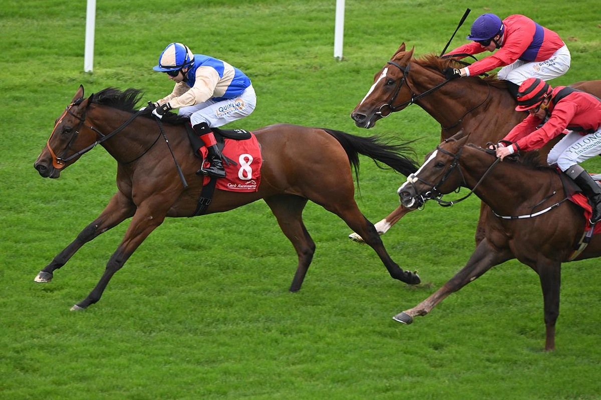 Tornado Kiss leads home her rivals under Andrew Slattery