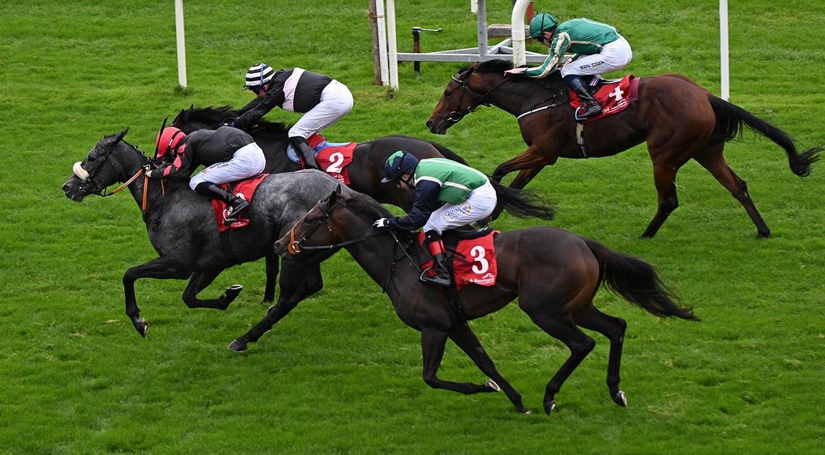 The grey Winters Breath gets up in the final strides to beat Likedbymike