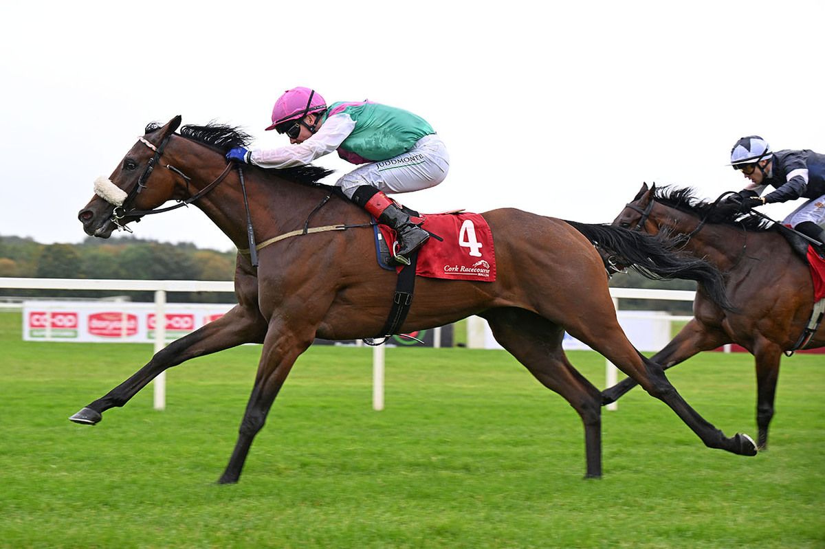 Purview and Colin Keane