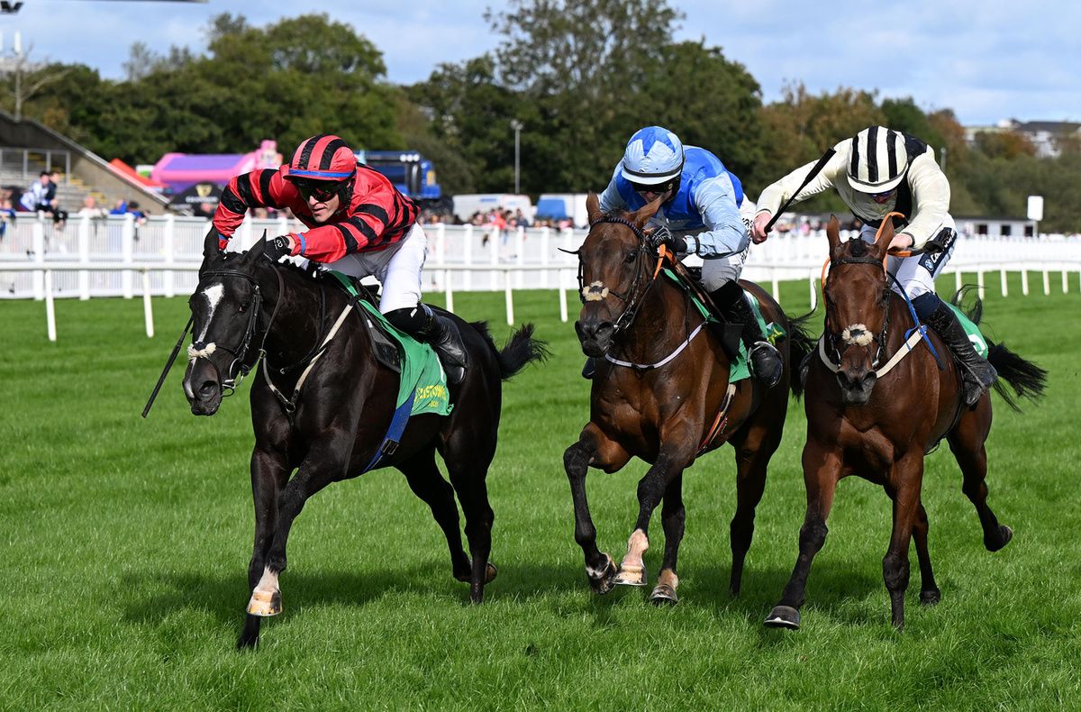 Listowel 21-September-2025Pampar Lady and Eoin Staples (left) win for owners Wash yer Hands Syndicate and trainer Gavin Cromwell from Music Of Life and Ballycashin.Healy Racing