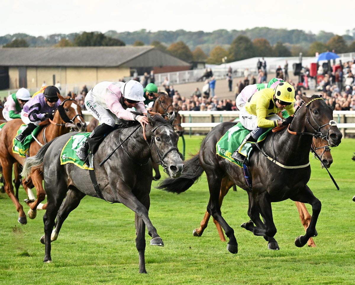 Boiling Point (yellow)