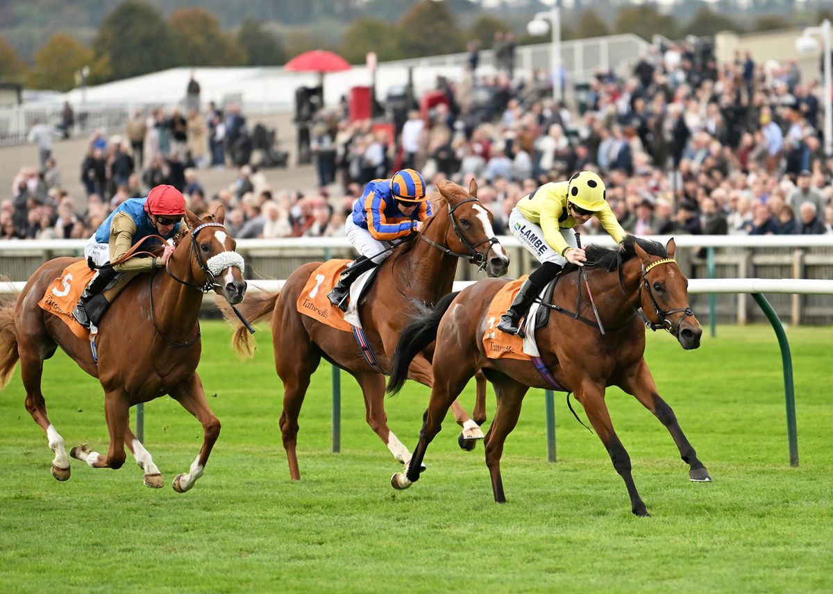 Bow Echo has trainer George Boughey looking forward to Guineas